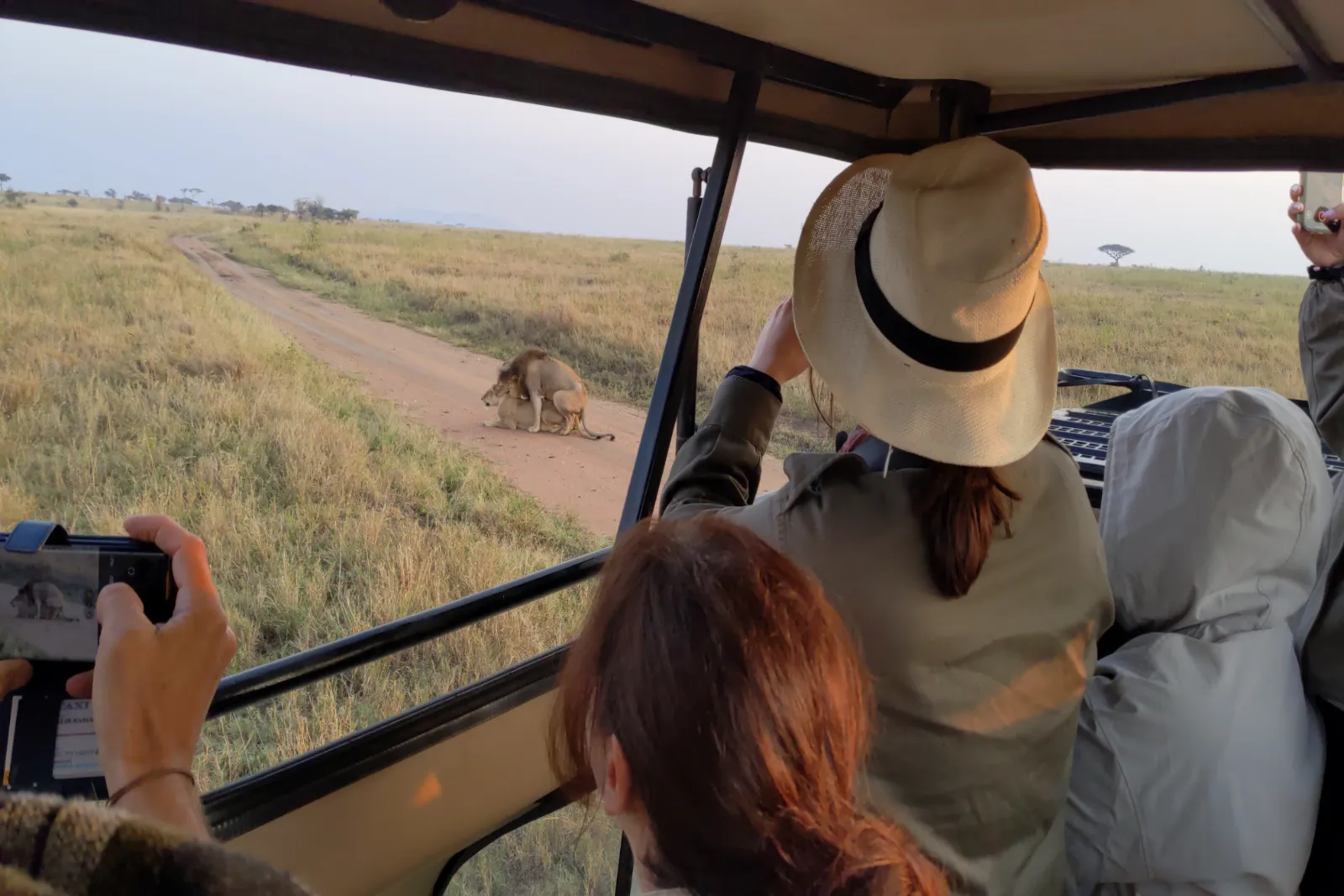 Tanzania Sharing Safaris