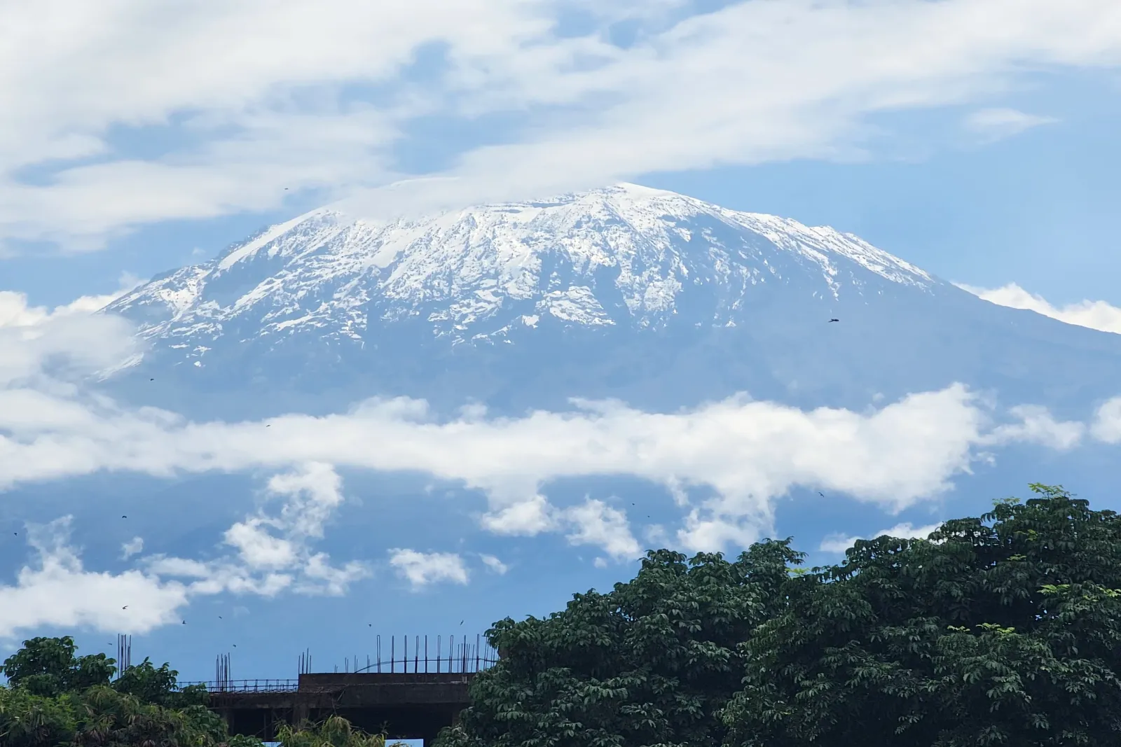 Tanzania Sharing Safaris