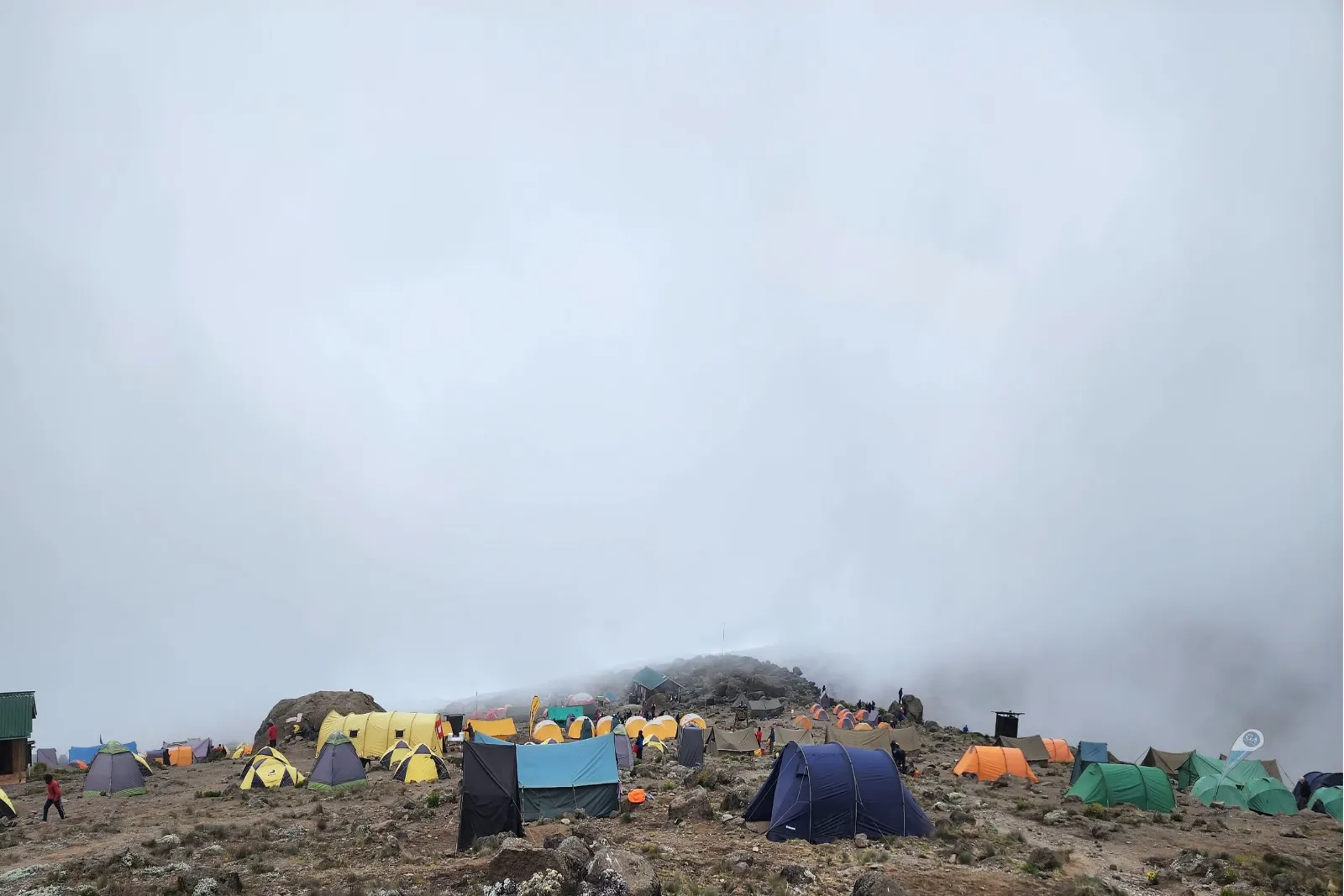 Tanzania Sharing Safaris