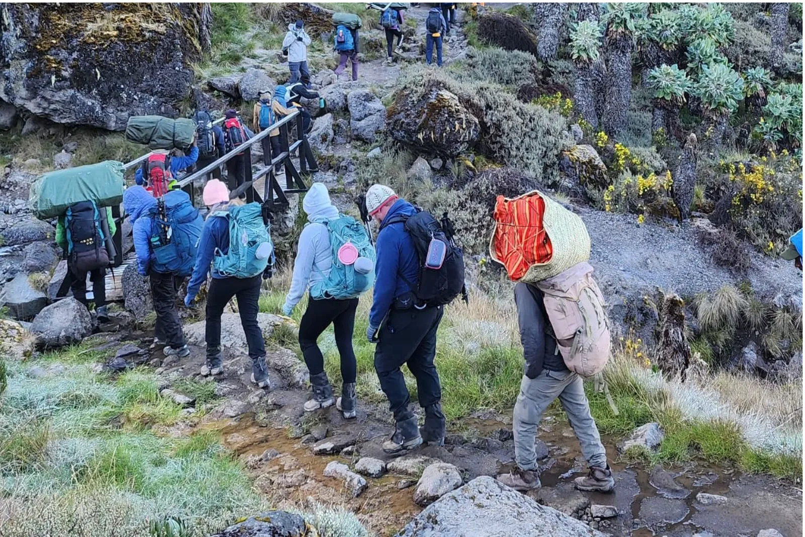 Tanzania Sharing Safaris